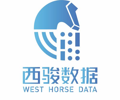 西駿數據項目信息平臺與軟件銷售策略分析